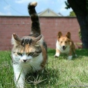 平和的好好生活