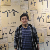 爱吃鱼的美短猫