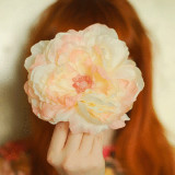 粉过500直接表白