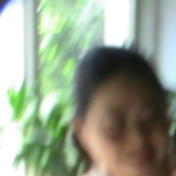 圆滚滚长毛布偶猫