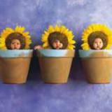 探麂子的探麂子