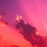 爱吃清拌豆腐的利克