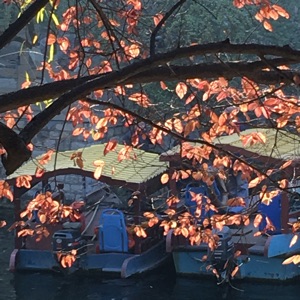 月朗风清流水淙淙