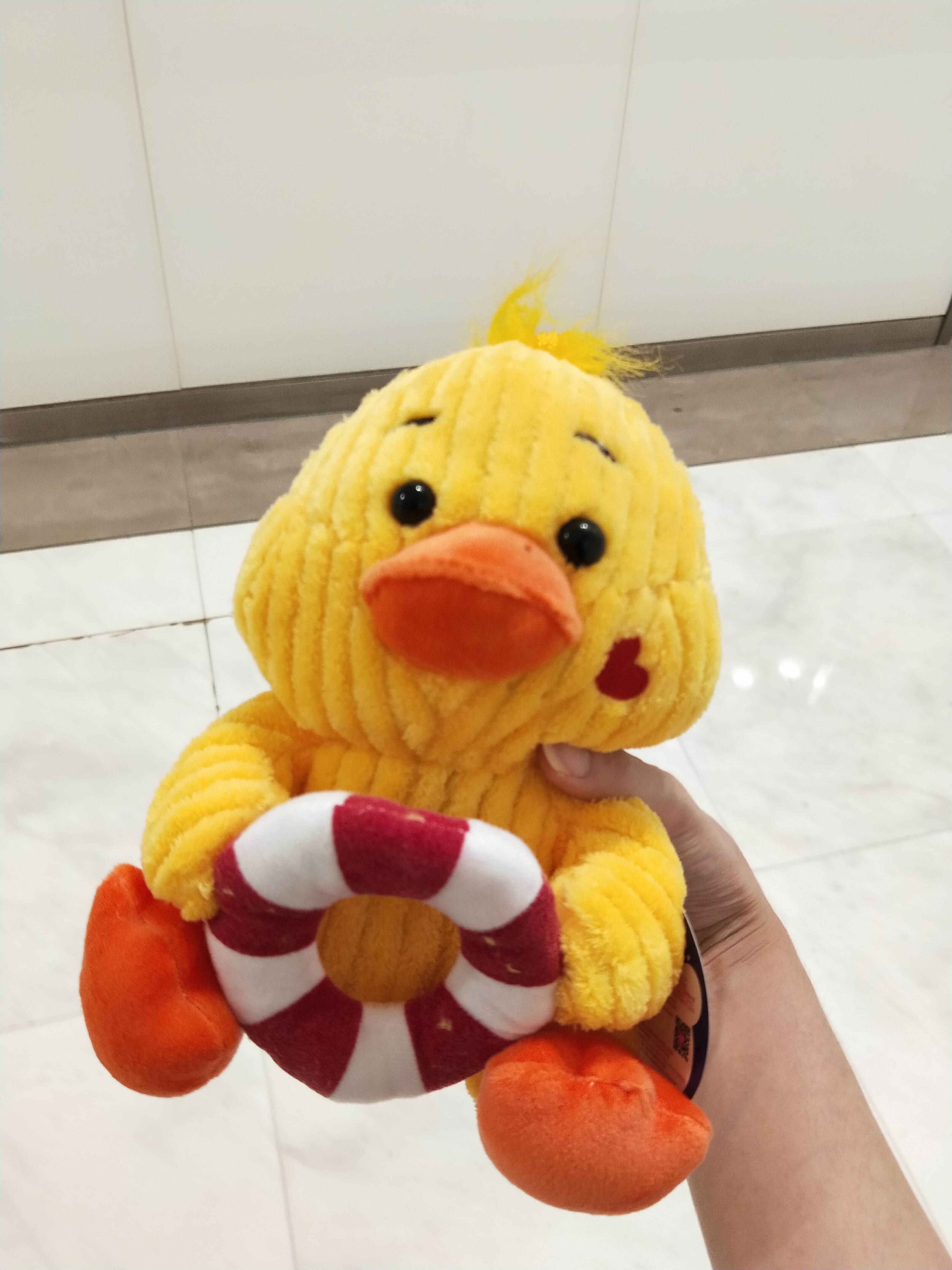 爱吃红枣炖蛋的树莓