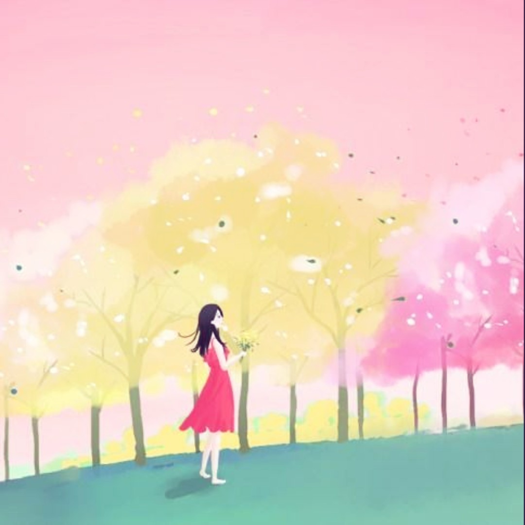 五彩斑斓的单果石栎很靠谱