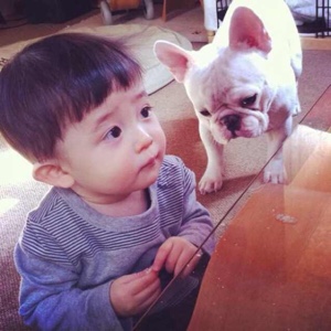 小时了了，大未必佳