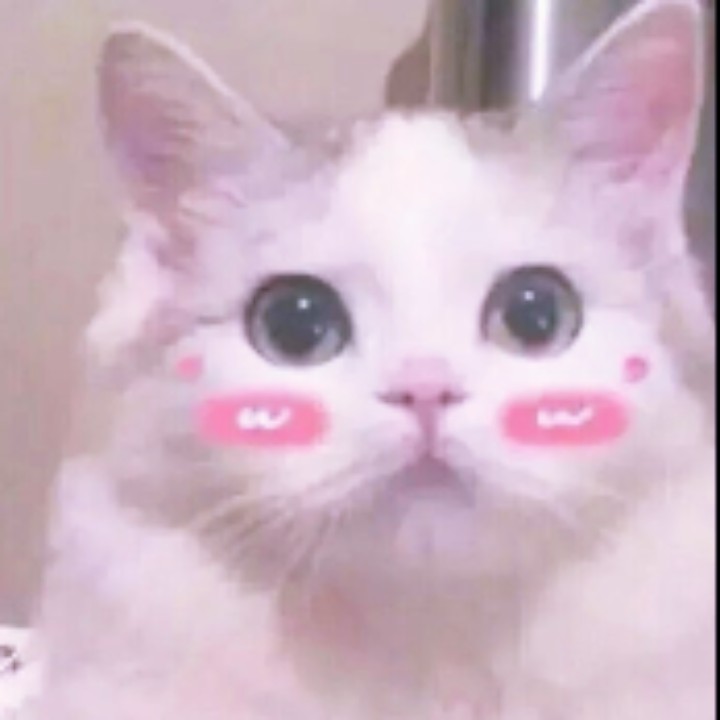 鹿辰喜滋滋的风