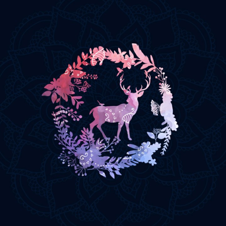 白生生的丛中笑