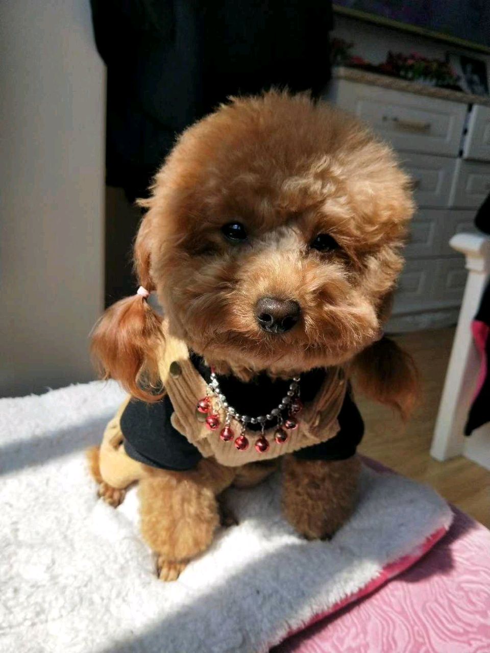 大牛爸爸骑摩托