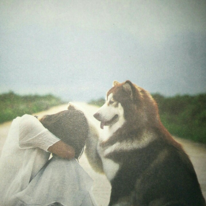 终南山的修行者