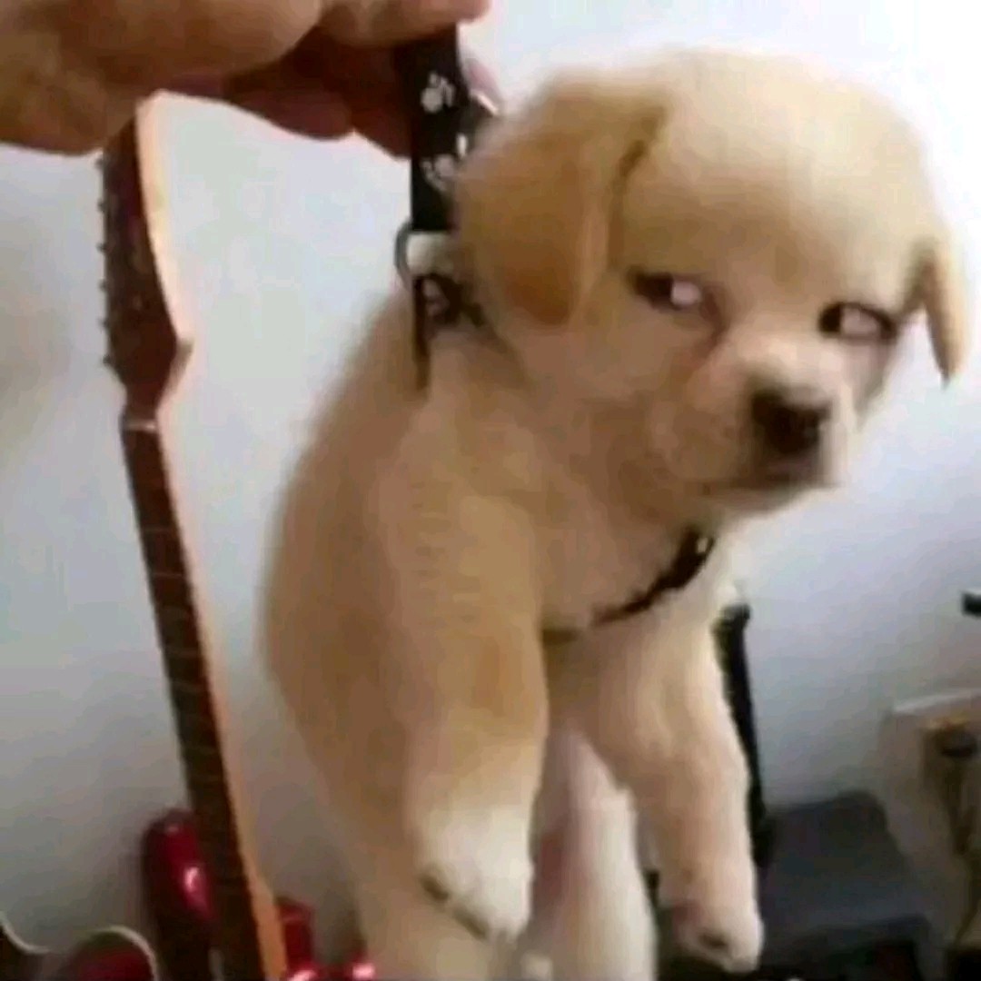 倚窗听雨的小赞(^^)