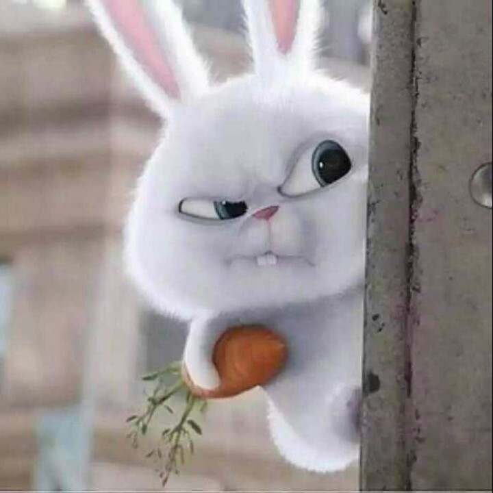 倾国倾城倾你心爱