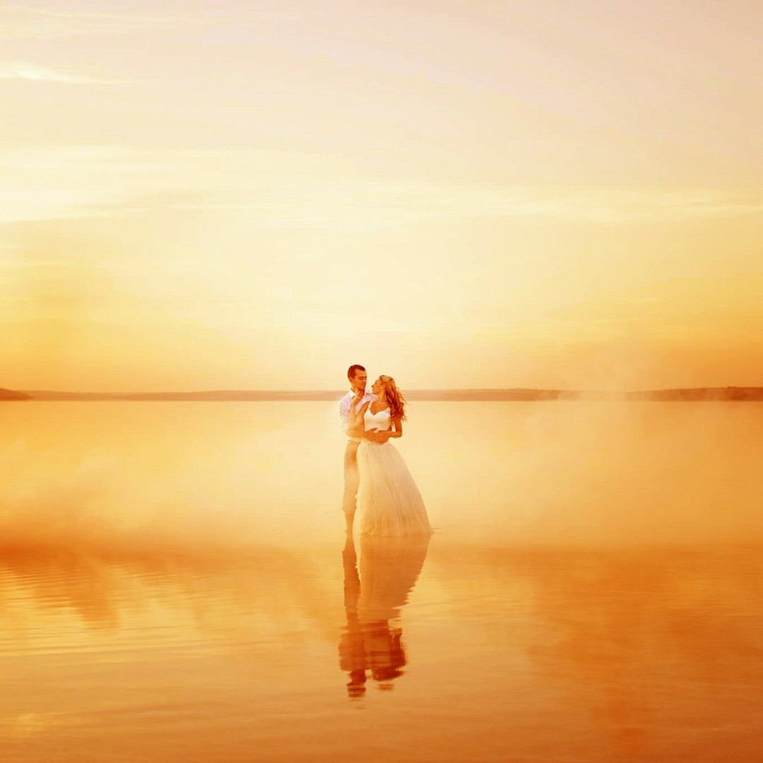 绿色的胡椒亚属