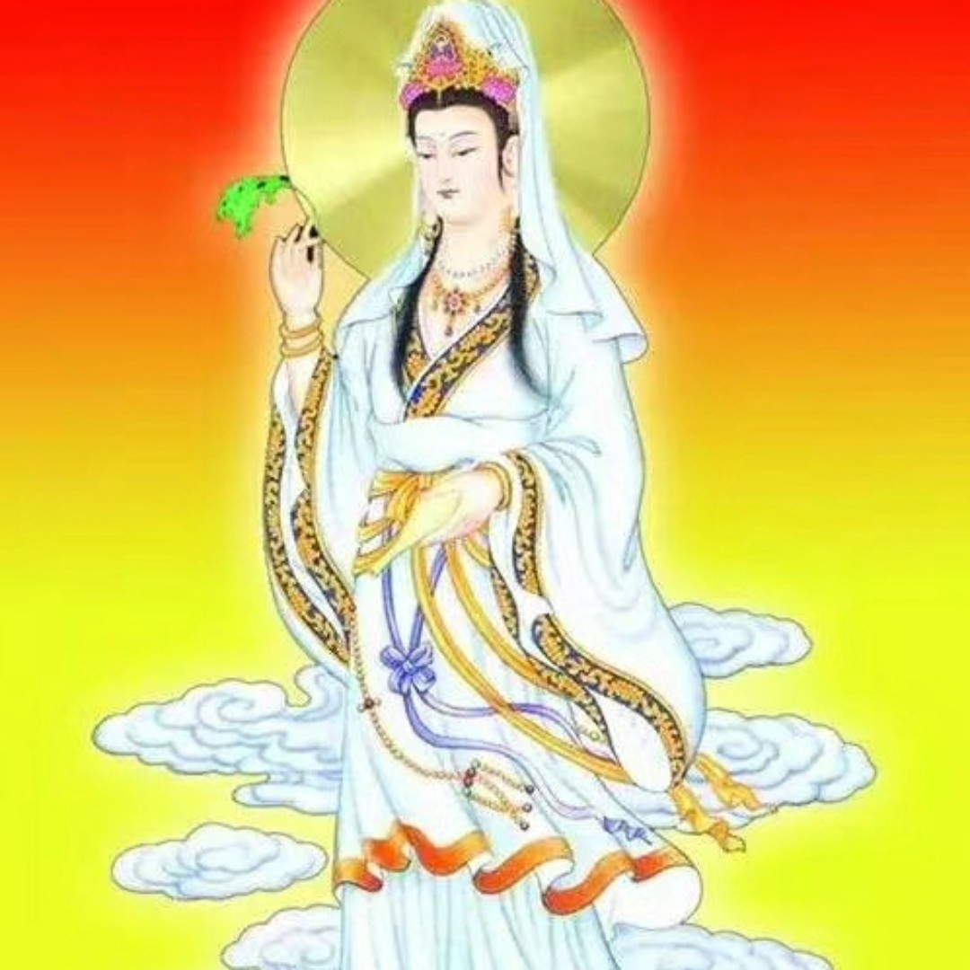 爱吃芽菜蛋羹的猎鹰