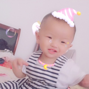 爱吃海米炖蛋的无尾熊