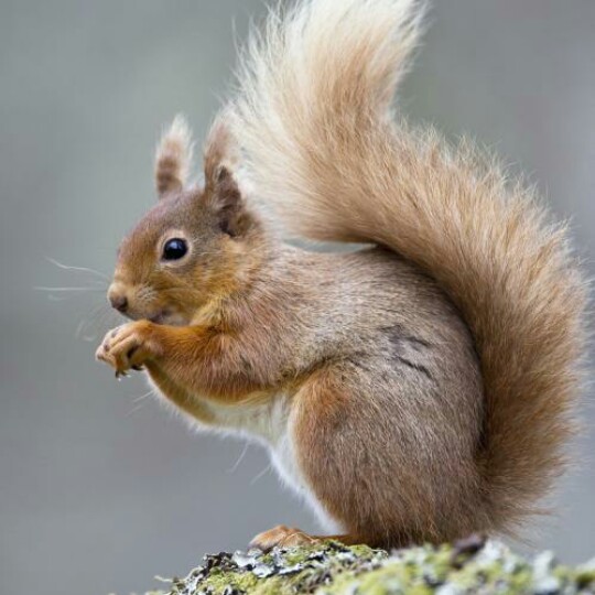 789我觉得咚咚咚