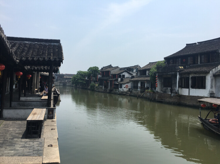 山城狮子座马兰