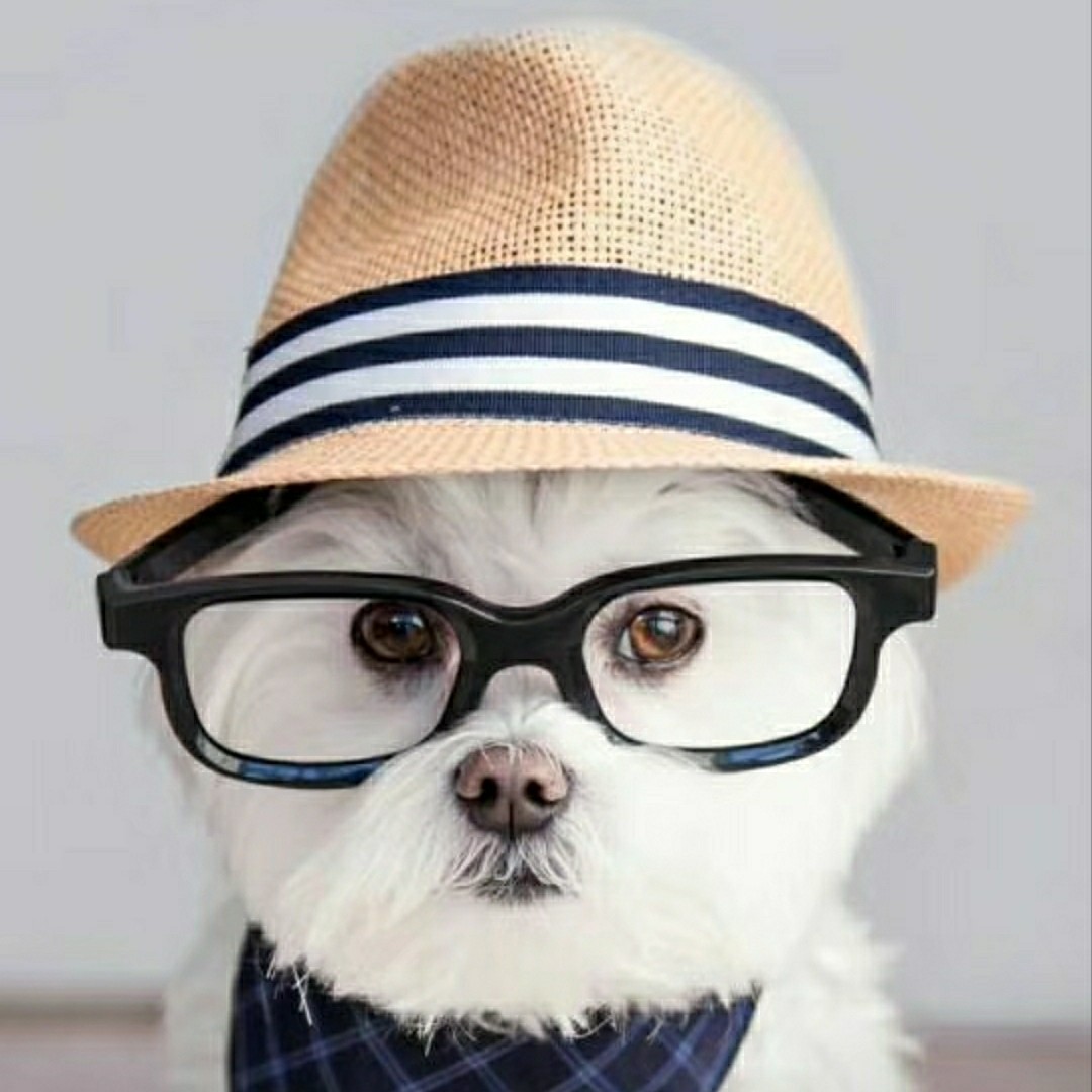 我的未来不是梦