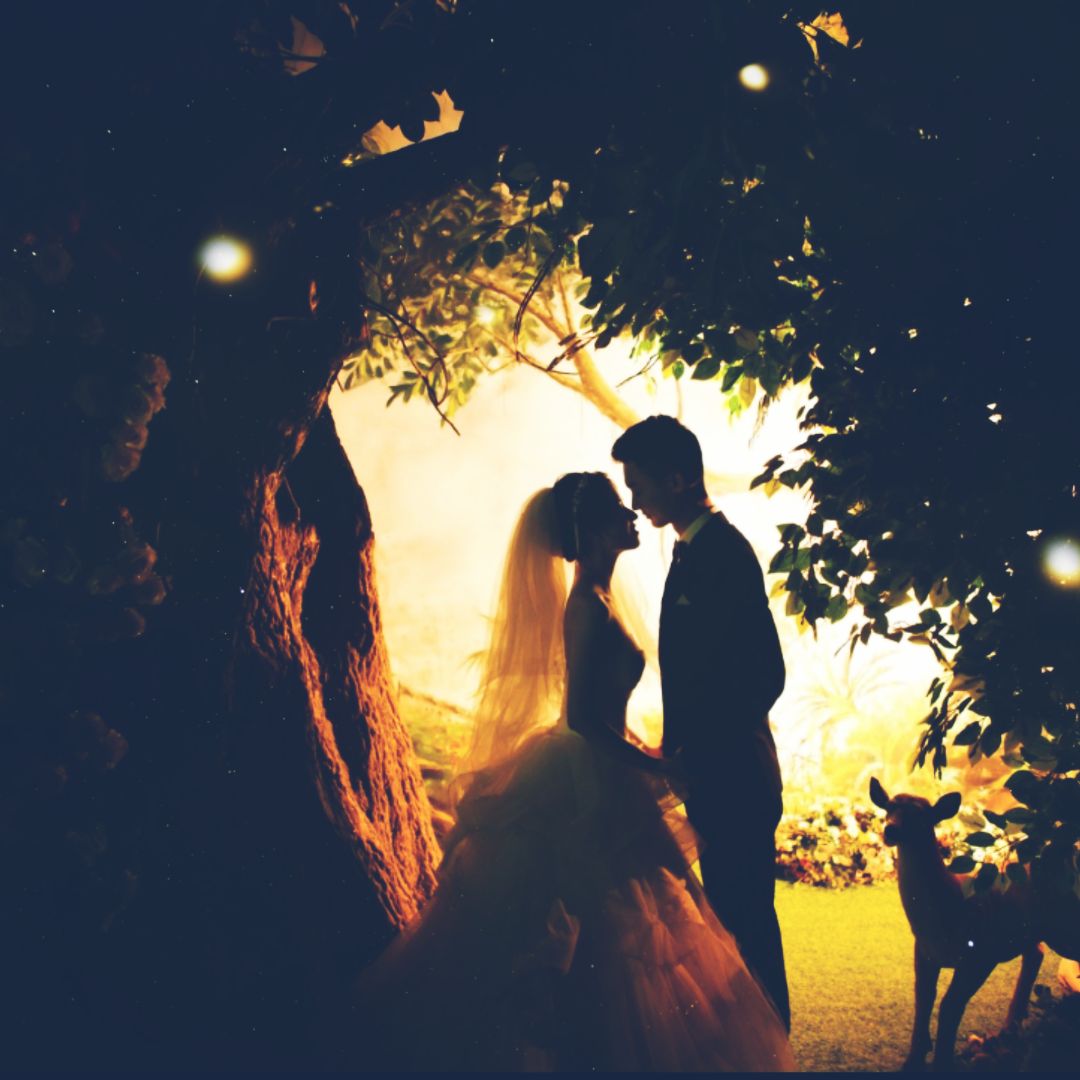 爱吃猪肉包子的路人乙