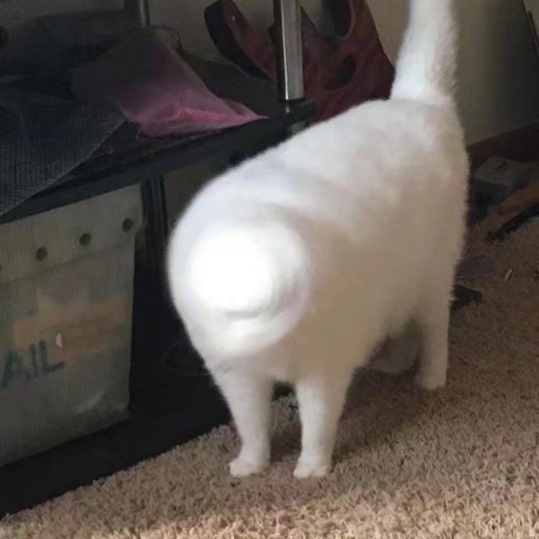 一个没救的懒癌末期患者