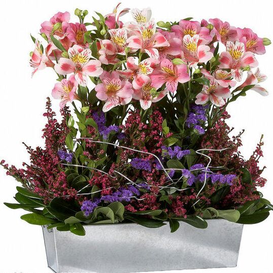 像刺猬一样伪装