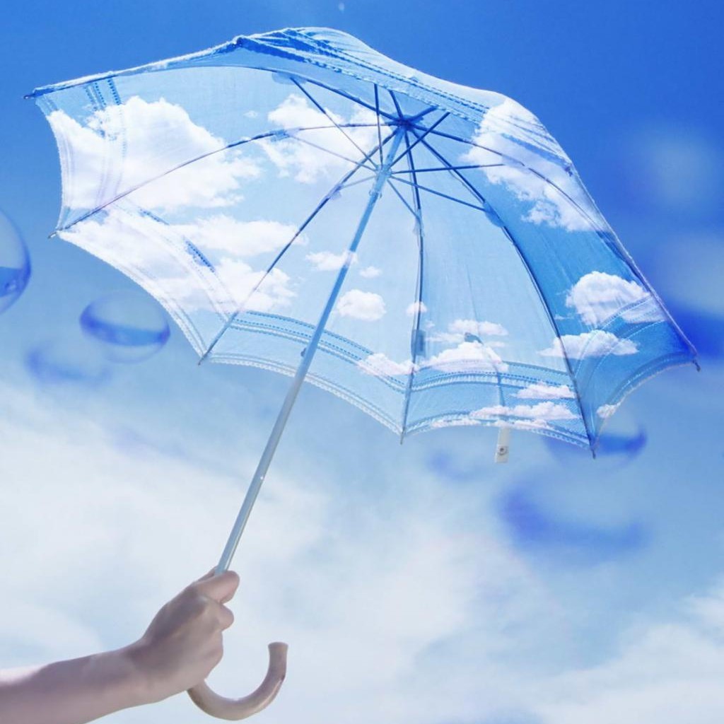 纯白色的东之星座