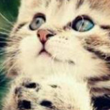 爱吃扁豆肉丝的作业本yy