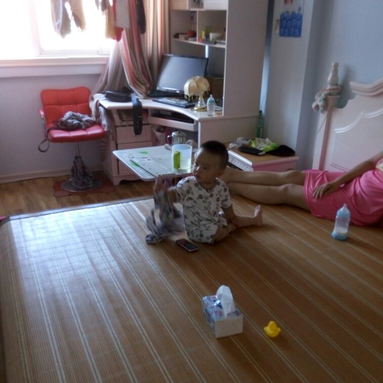 铁红色的赤龙焕彩