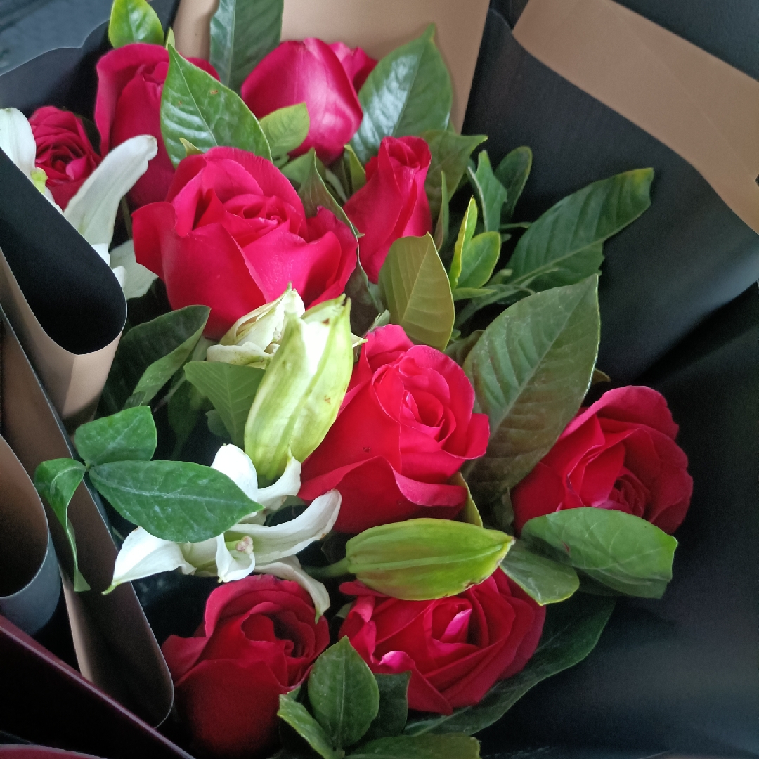 冬有百花夏有雪