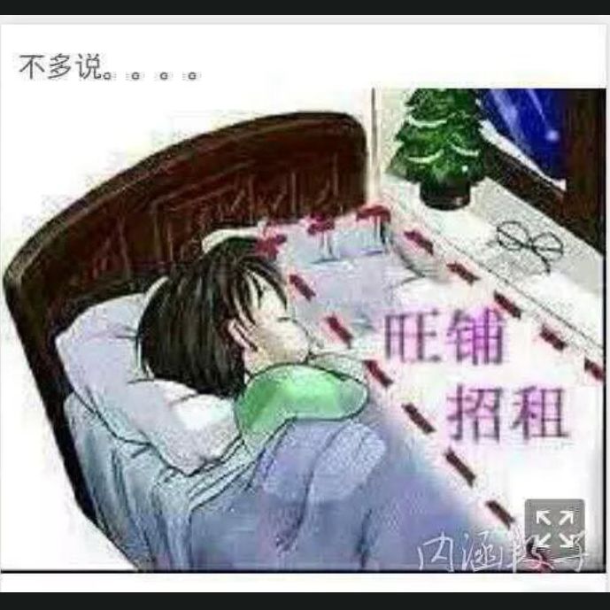小灰灰FFQ