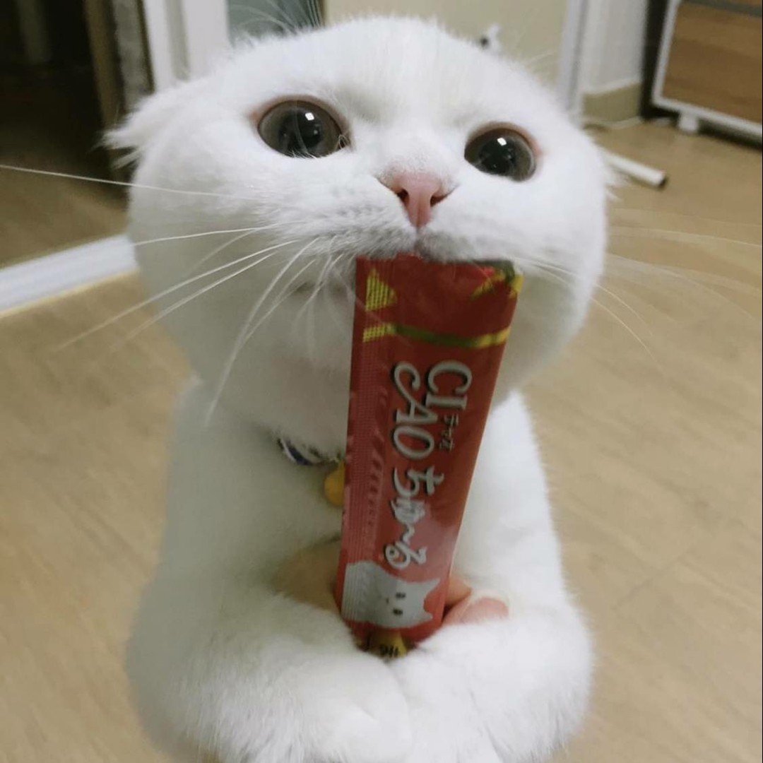 柚子西瓜有点甜