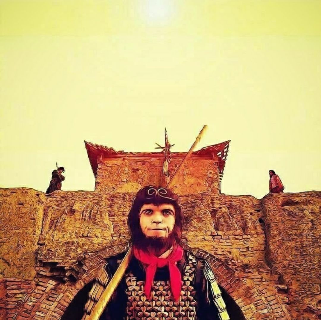 是王先森啦啦啦