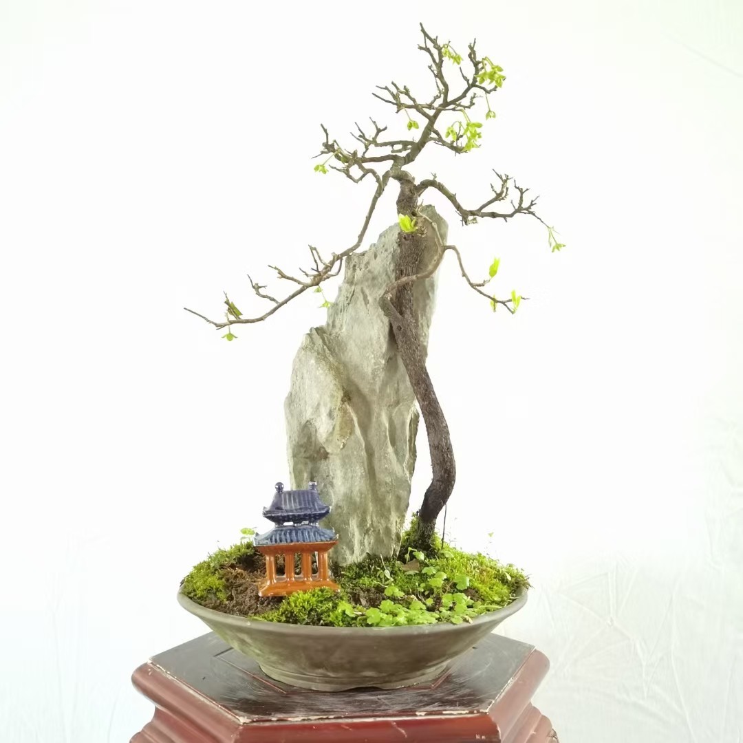 小鱼儿?与花无缺?