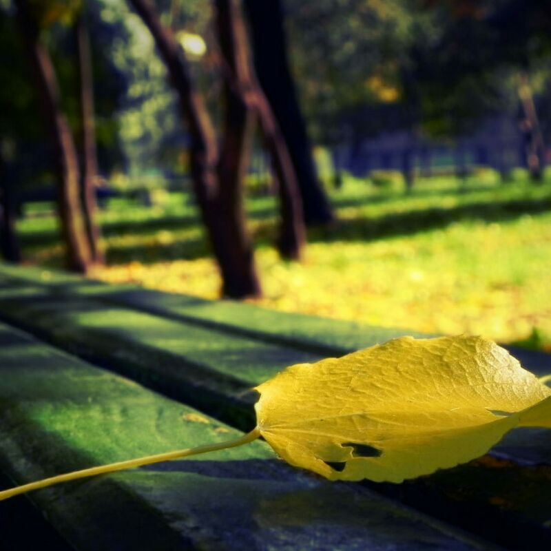 京东快车闯天涯