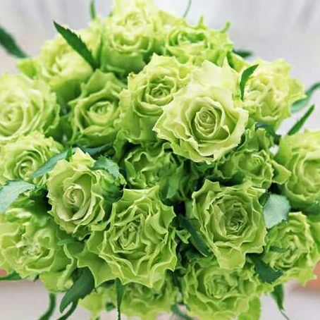 风中叶子爱学习