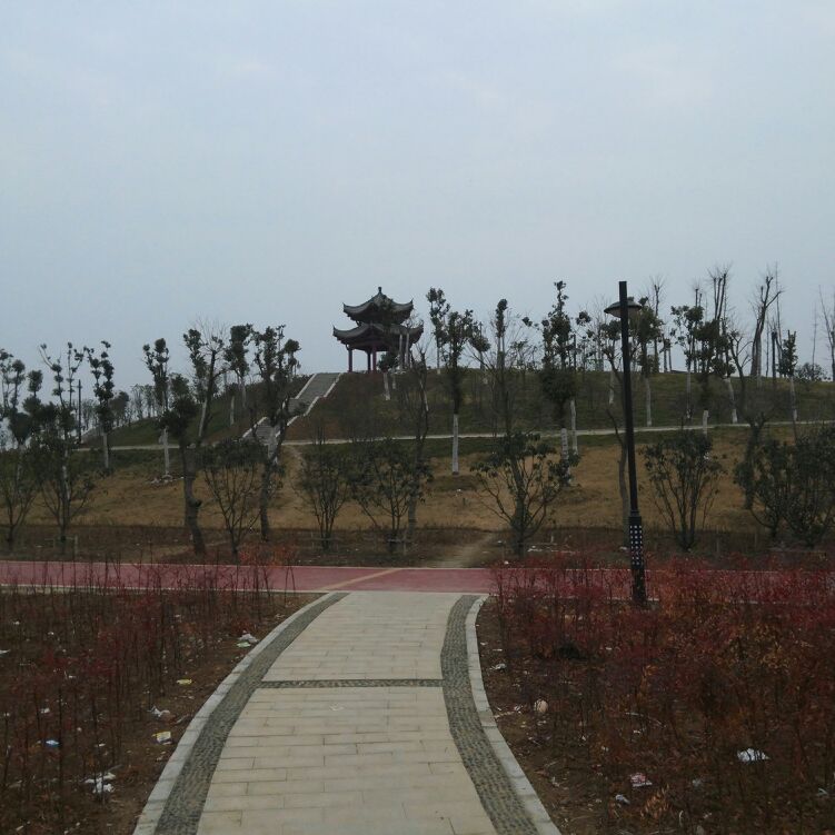 爱吃立夏乌饭的顾念