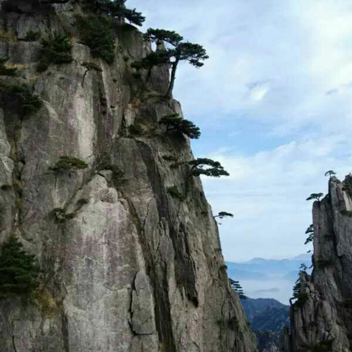 大山里的麦唛02