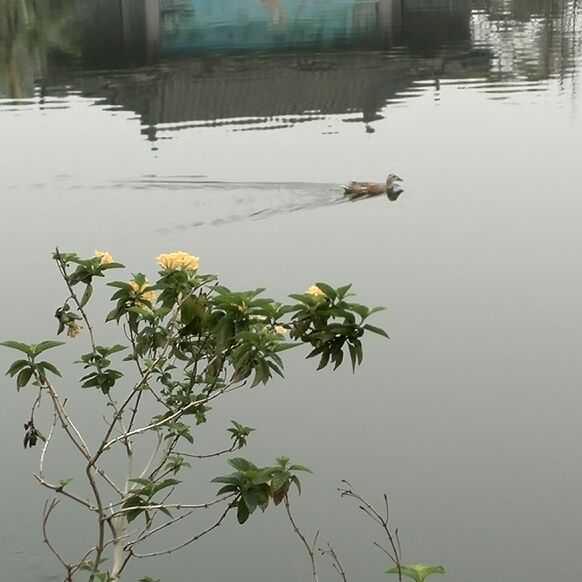 喜欢骑行的申城小姐