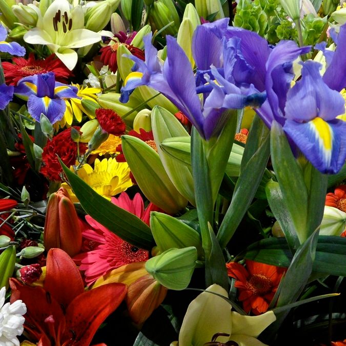 长不大的孩子2012