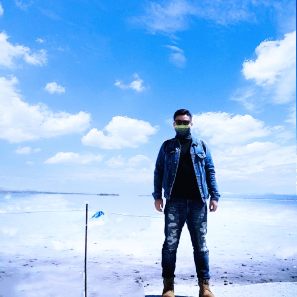 桃花侠大战菊花怪