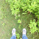 含寒涵晗晗北斗