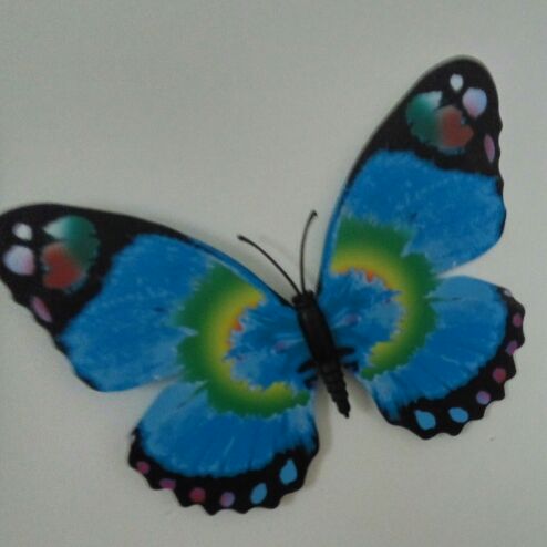 一生最爱凤姑娘