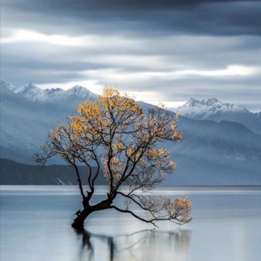 爱吃一品豆腐的花花87