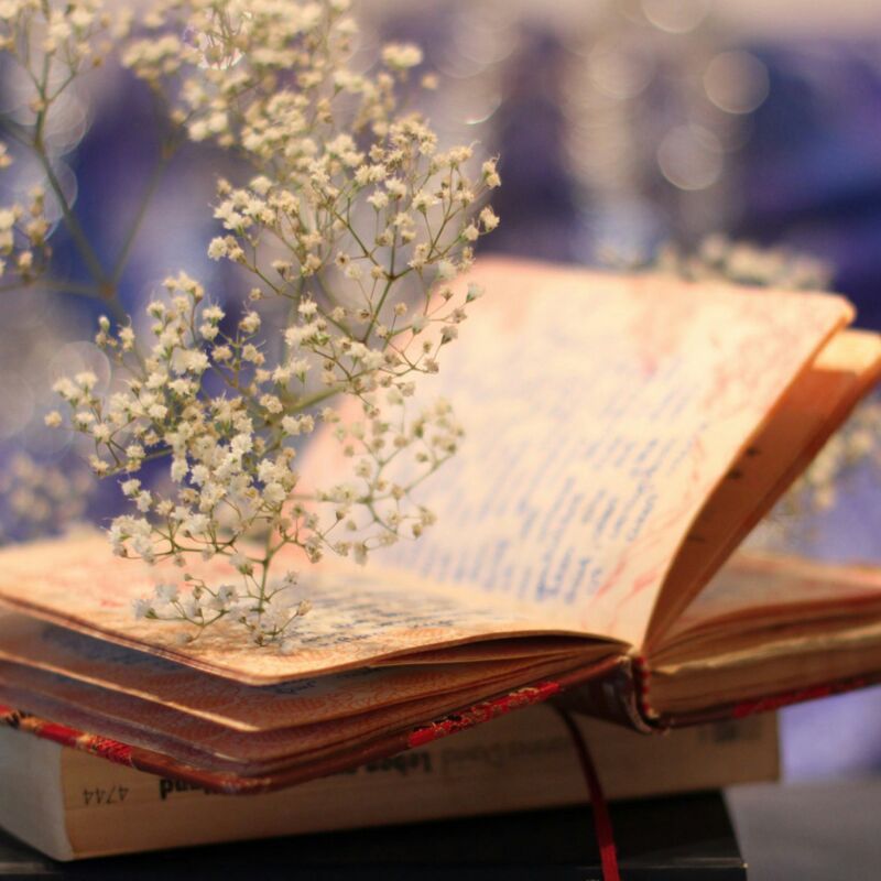 印象的百字好评