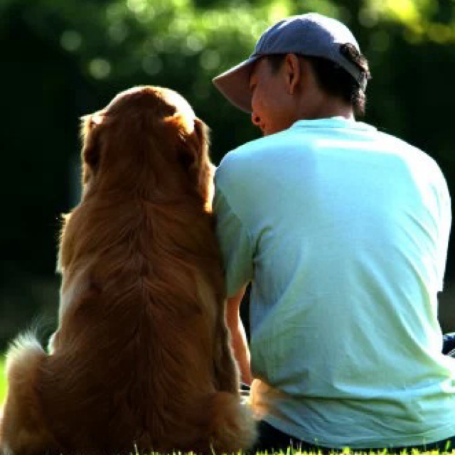 到处行走边城浪子