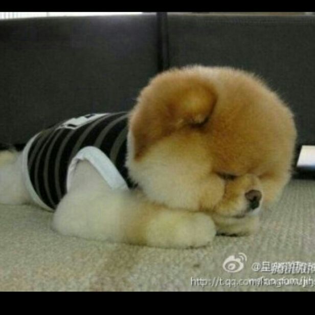 守着阳光守护你