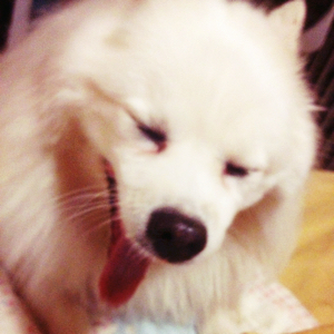 日常买菜好市民