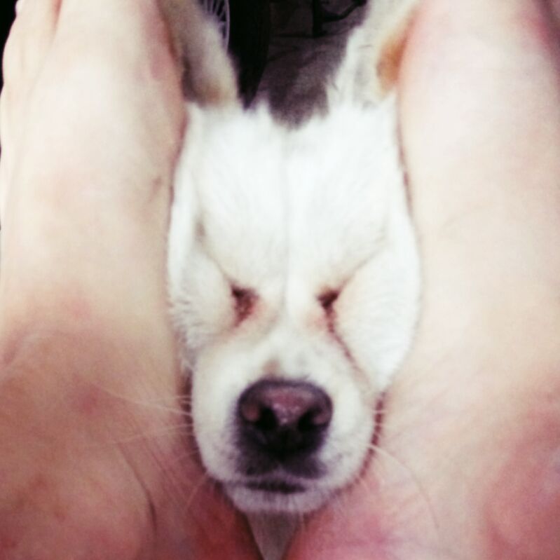 4982亿项目合伙人