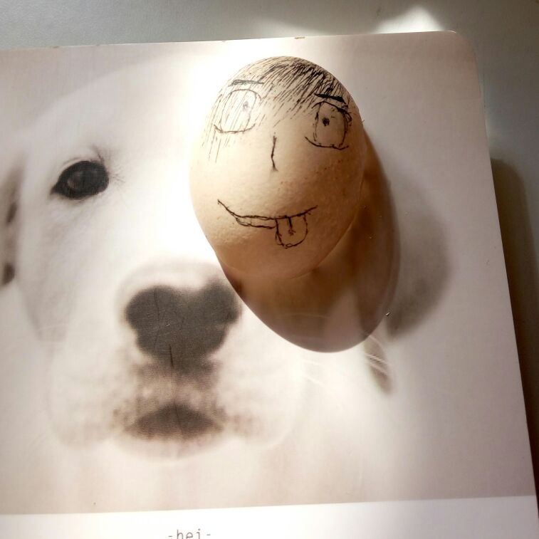 爱吃豆腐的阿海