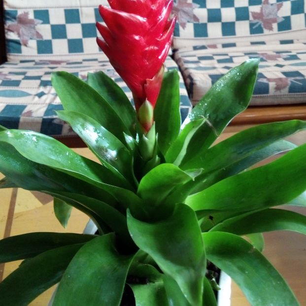 慕然回首心已远